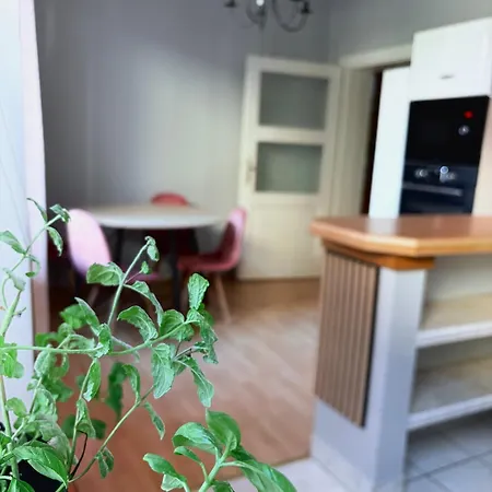 Zaroowka 아파트 Żywiec